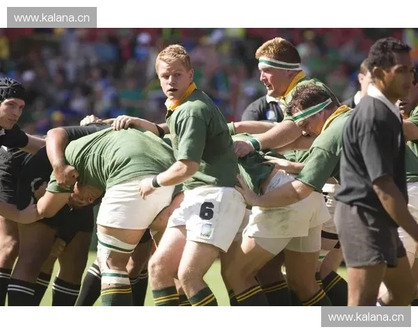 全面解析什么是B级赛事及其在体育竞技中的定位与影响